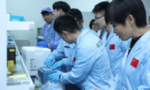 小鼠等空间站第九批科学实验样品返回，约46.67公斤