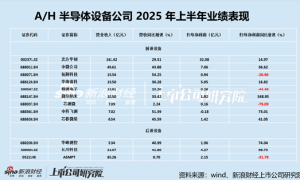 半导体设备半年报:北方华创并表芯源微或影响短期毛利率 研发持续扩张完善产品线布局