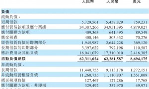 蔚来长袖善舞:时隔半年再次配售 或募资超70亿港元