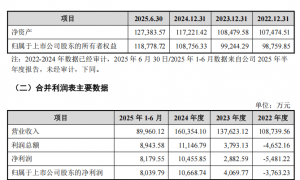 提前大涨!300611,重大资产重组